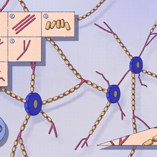 Image from a publication